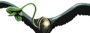 banner_0088_dutchpassion_logo
