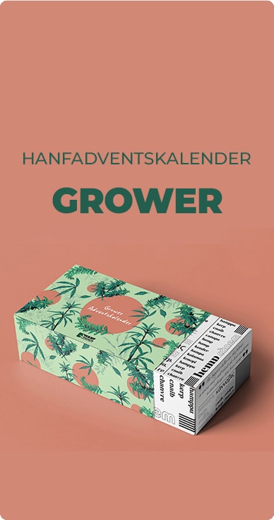 hanf_adventskalender_banner_2023_startseite_grower-1