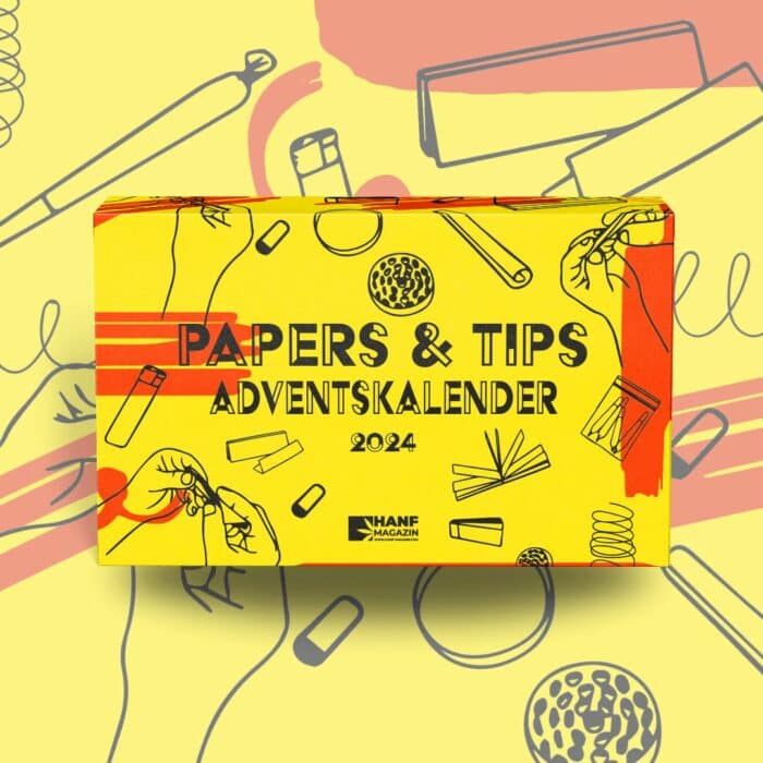 papers-tips-adventskalender-2024