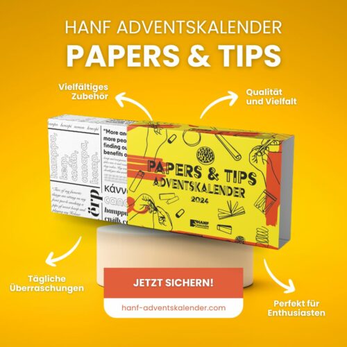 papers-tips-adventskalender-2024_02